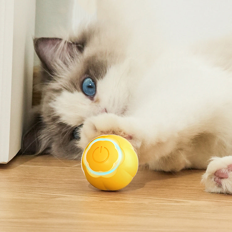 Juguetes para gatos interactivos para gatos en interiores Rodan rápidamente en la alfombra, brillando, colores y Deportes activan juguetes para gatos, juguetes interactivos para gatos, silicona abs, regalos para mascotas. recargables