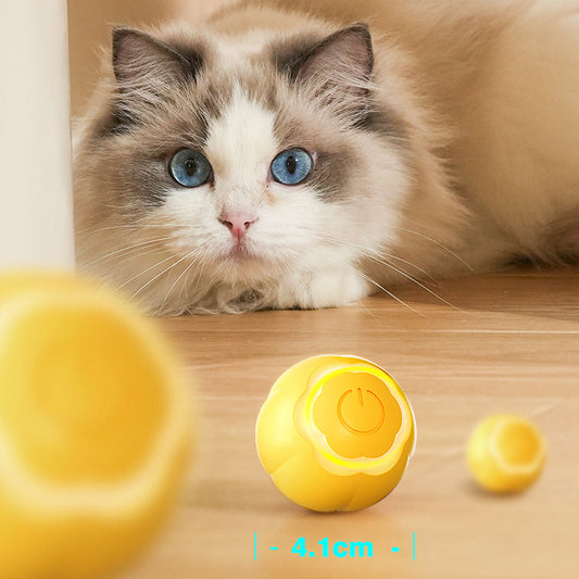 Interactive cat toy ball for indoor cats Fast rolling on carpet, Glow, Colorful and motion activated cat toys, cat interactive toys, ABS silicone，pet gifts.rechargeable